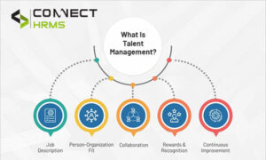 talent management system